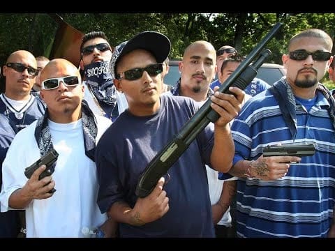 Urban Gang Violence Guns 