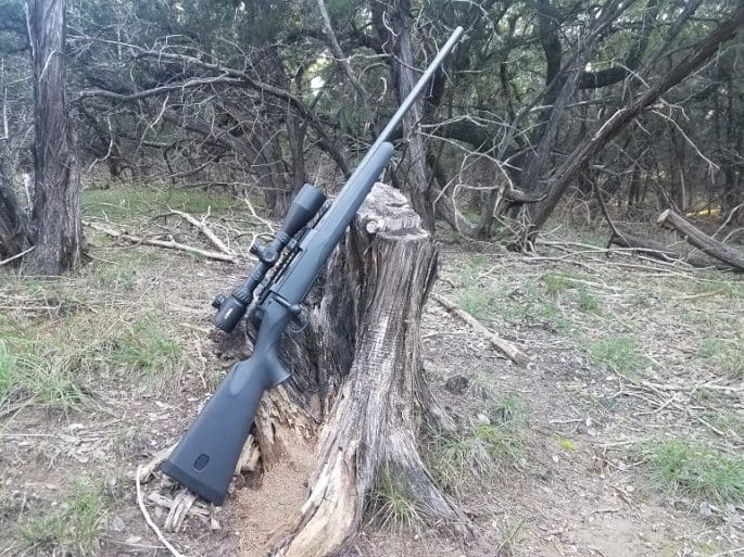 Gun Review: Mauser M18 Rifle in .308 Winchester - The Truth About Guns