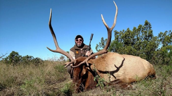 Proof in the Pudding: Wilson Combat 300 Ham'r Takes a Bull Elk