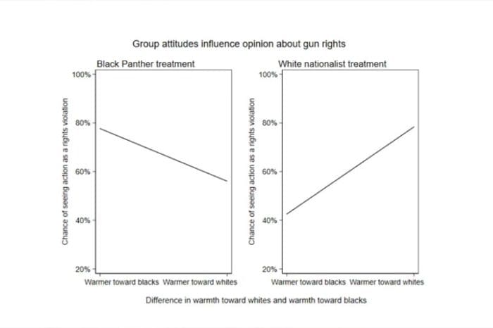 white vs blacks gun rights