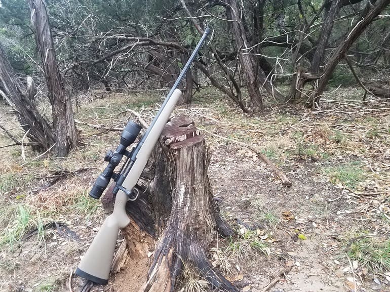 Gun Review: Mossberg Patriot Predator Rifle