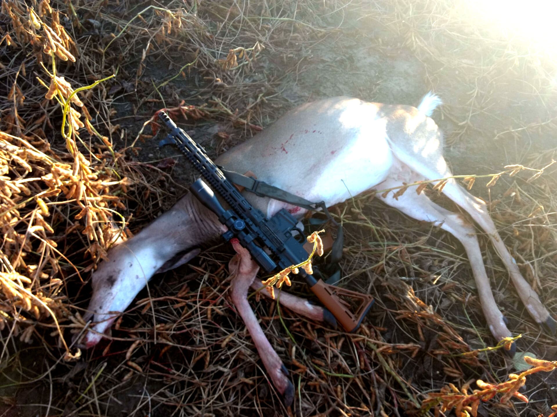 Long Range Hunting: Animal Cruelty or Skilled Sportsmanship?