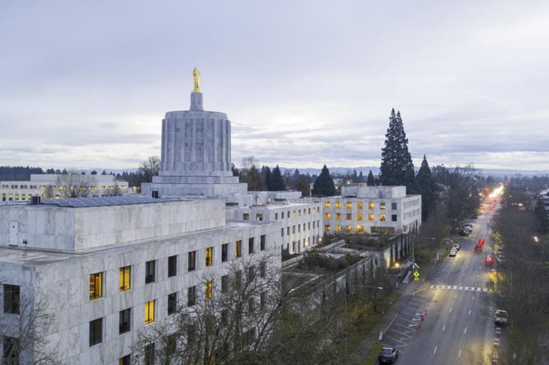 Oregon background check magazine limit bills