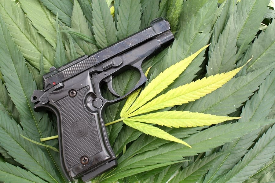 marijuana law guns