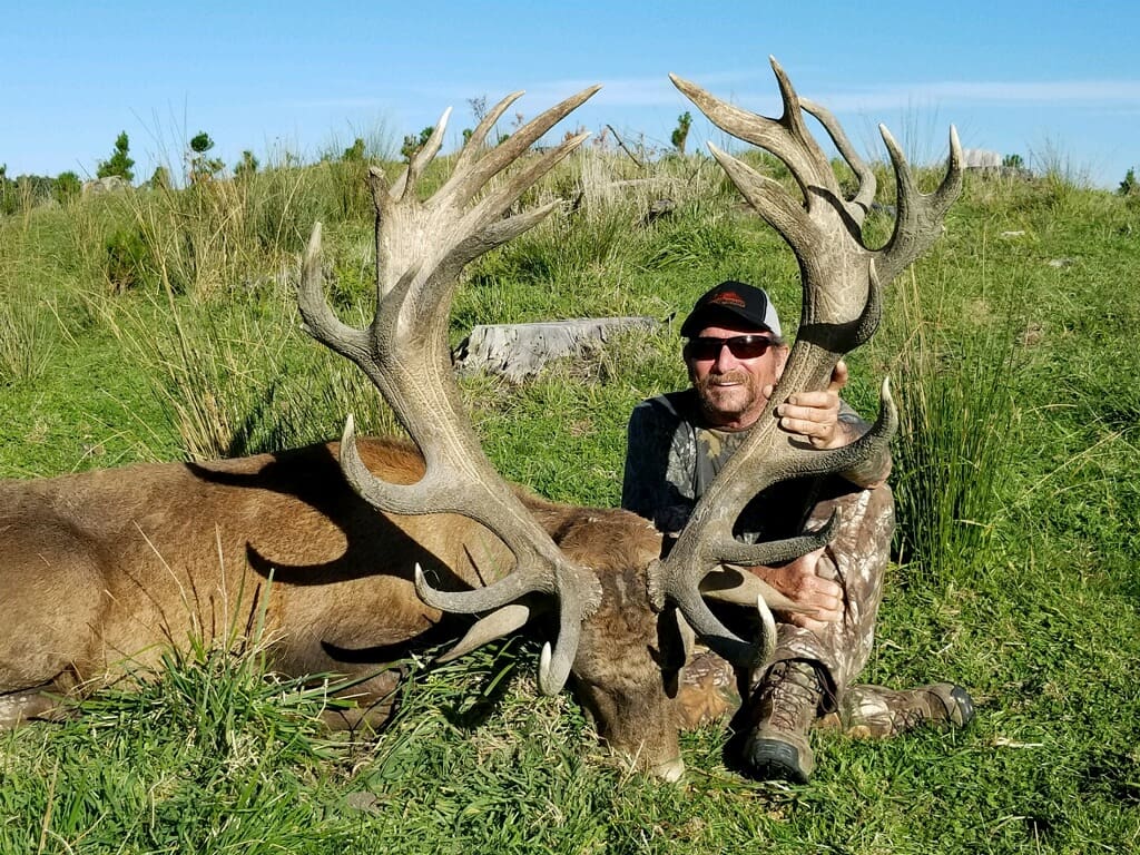 New Mexico elk hunt outdoor solutions