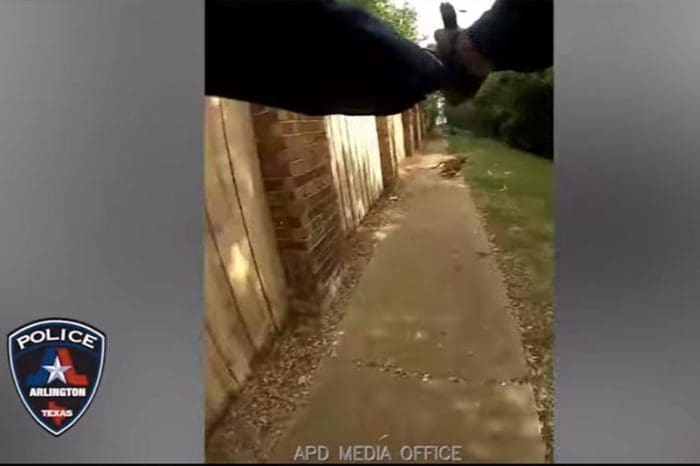 Arlington Cop Shoots Dog Kills Owner