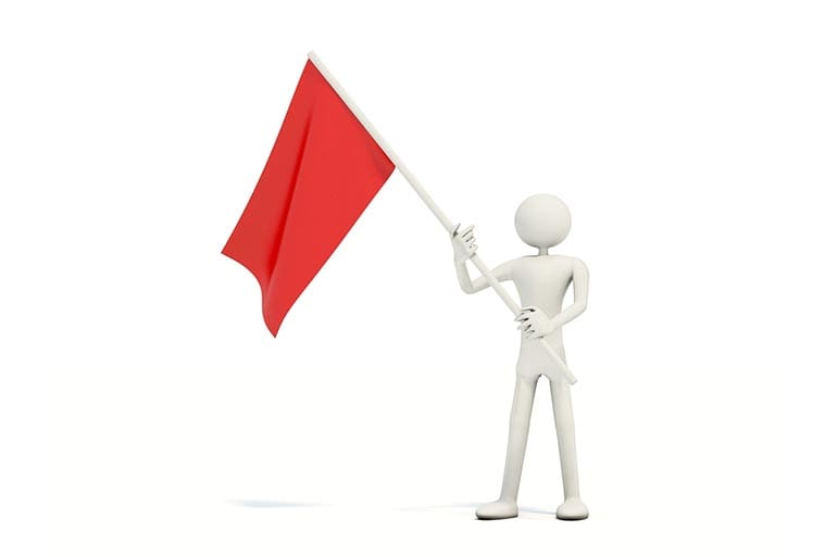 Red flag law due process
