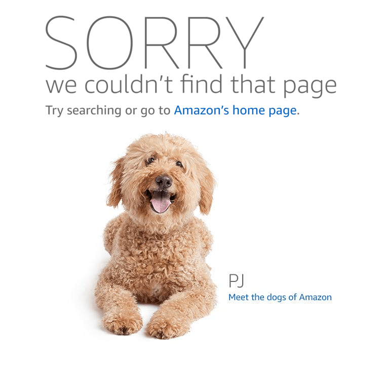 Amazon 404 page gun accessories