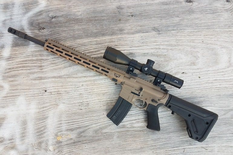 ar-15 assault weapon rifle ban