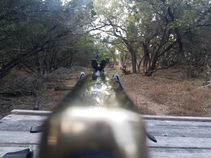 Henry Side Gate Loading Rifle sights (image courtesy JWT for thetruthaboutguns.com)