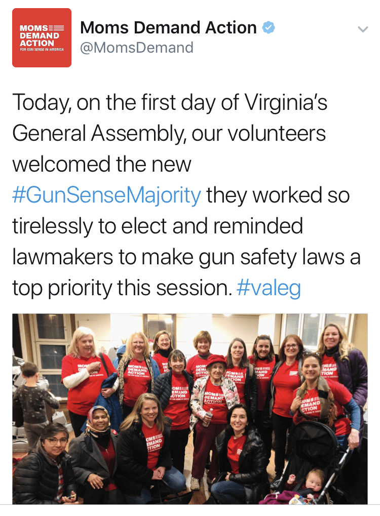 Moms Demand Action Virginia lobby day