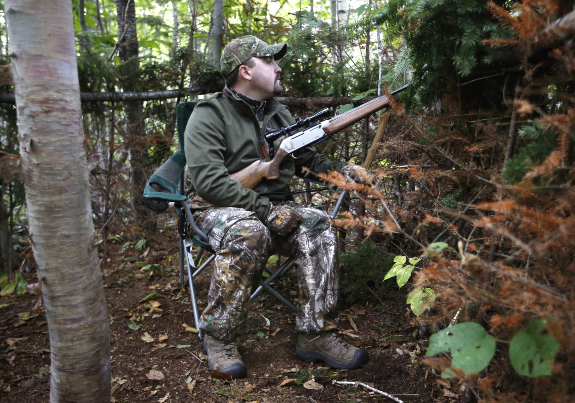 bear hunter woods rifle hunting