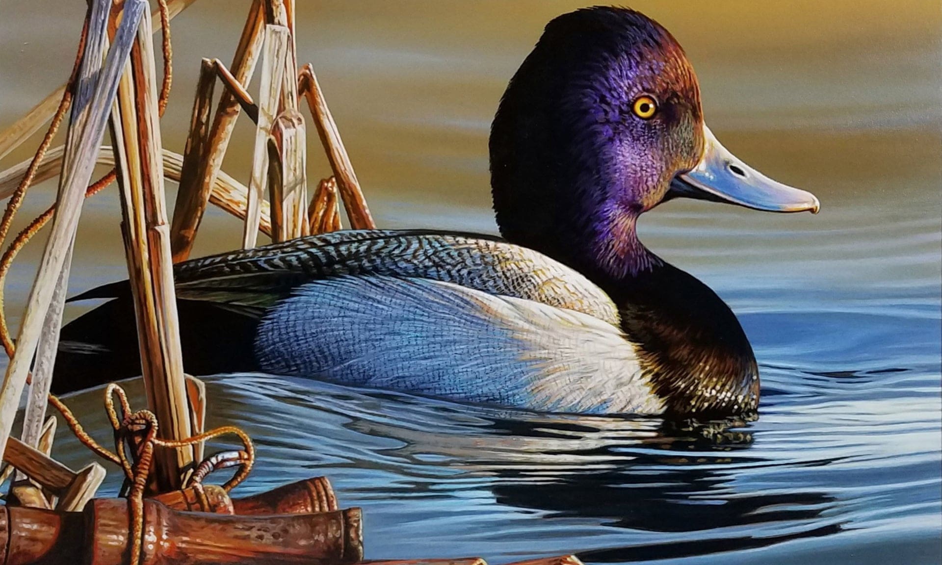 Clifton duck stamp