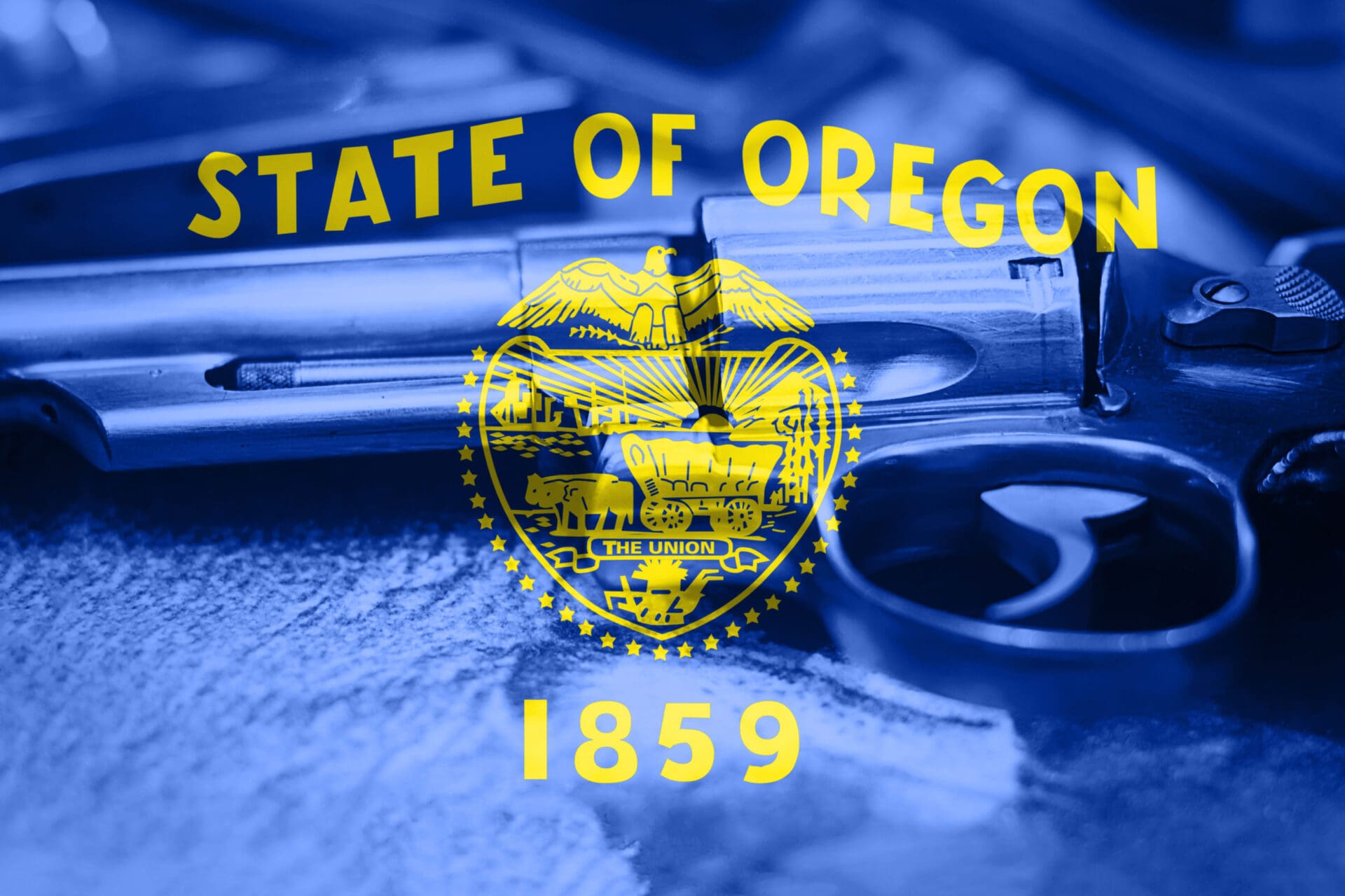 Oregon gun control sanctuary county