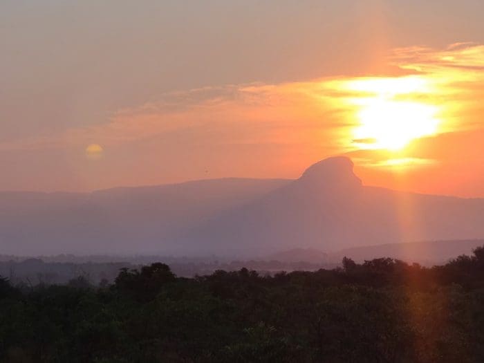 South African africa safari sunset