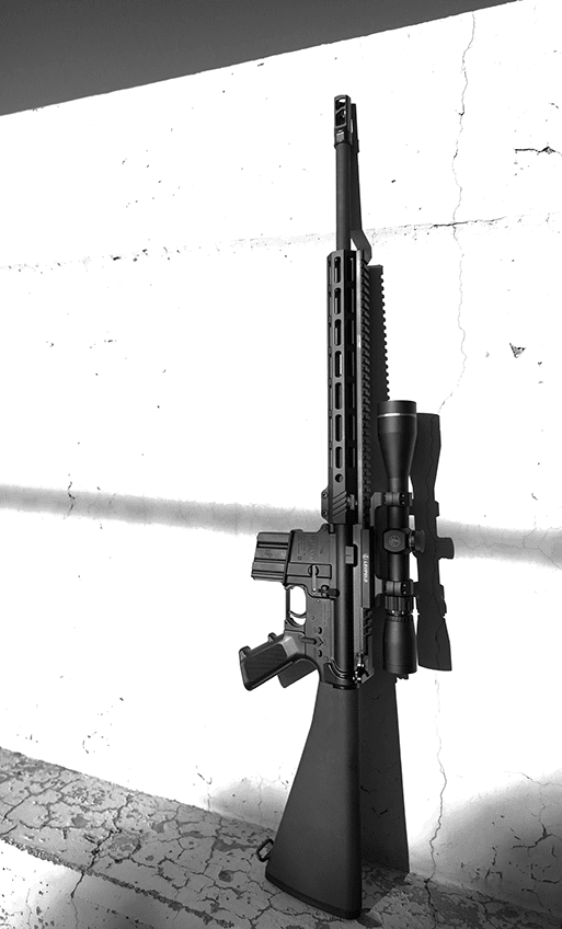 450 Bushmaster Rifle