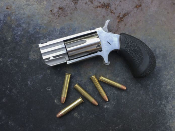 North American Arms PUG-T revolver