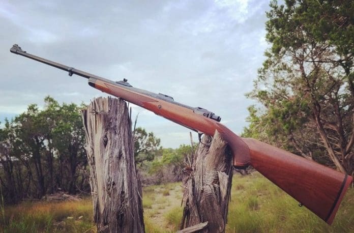 Ruger M77 Hawkeye African (image courtesy JWT for thetruthaboutguns.com)