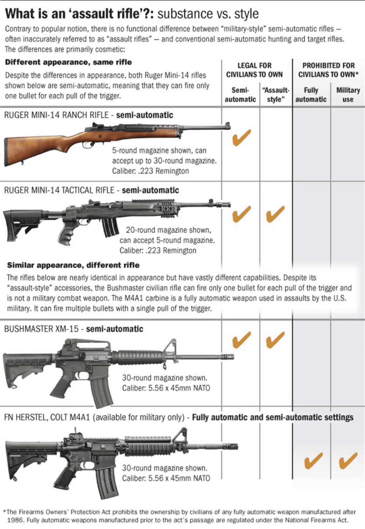 Assault Rifle weapons ban cosmetic features
