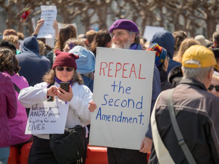 Repeal the second amendment protest sign