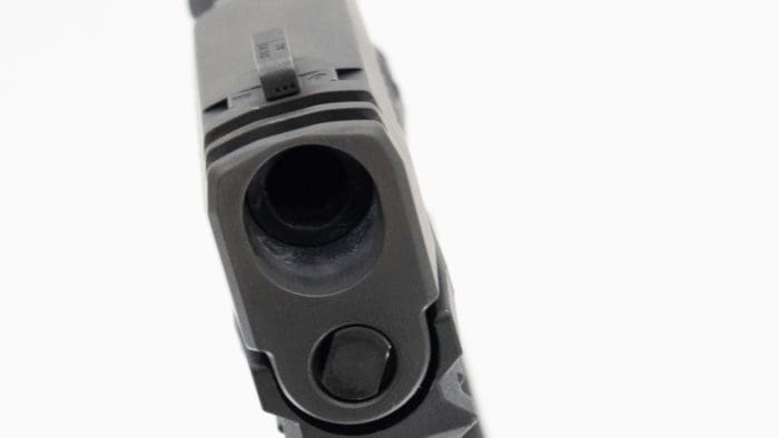 SIG SAUER P365 XMACRO gun review