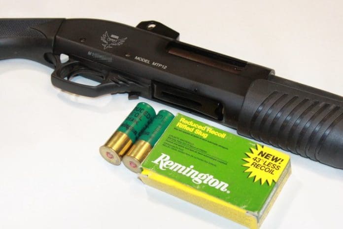 12 gauge shotgun buckshot