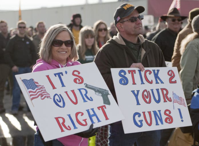 pro-gun protest sign