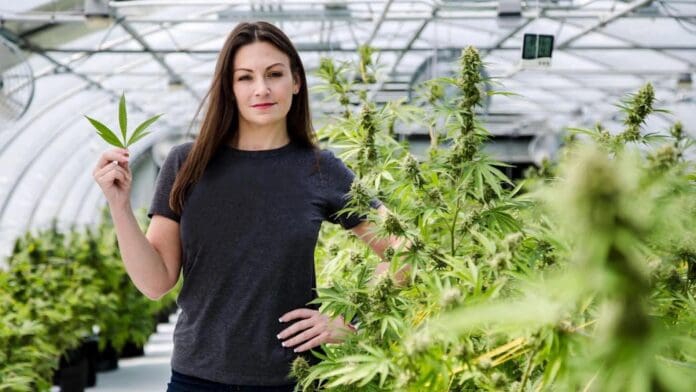 Nikki Fried weed marijuana