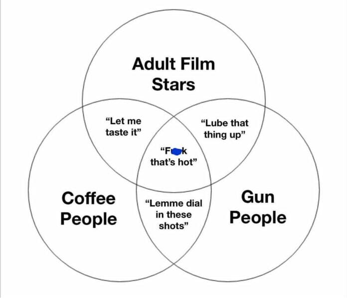gun people venn diagram