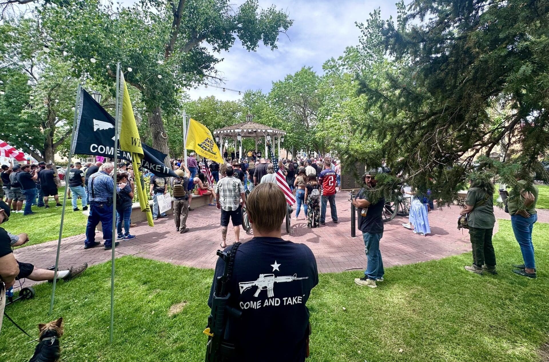 Albuquerque New Mexico gun rights protest